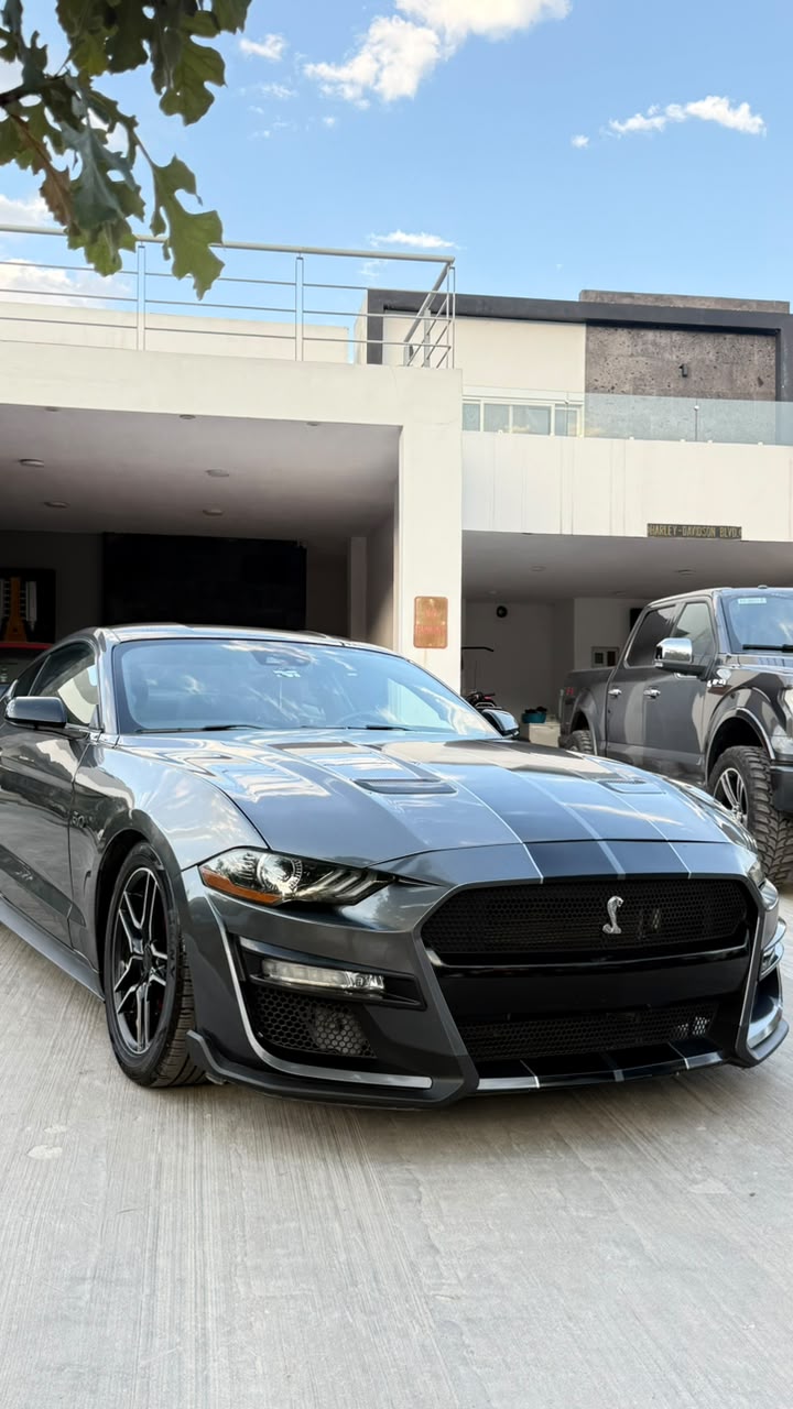 Mustang GT 2022