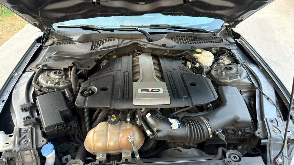 Mustang GT 2022